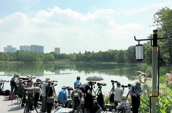 （转载）成都绿道 观鸟天堂