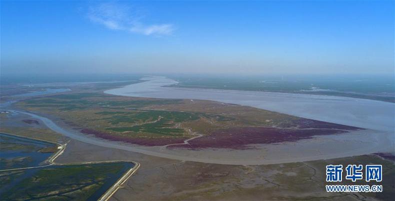 秀美辽河口国家级自然保护区