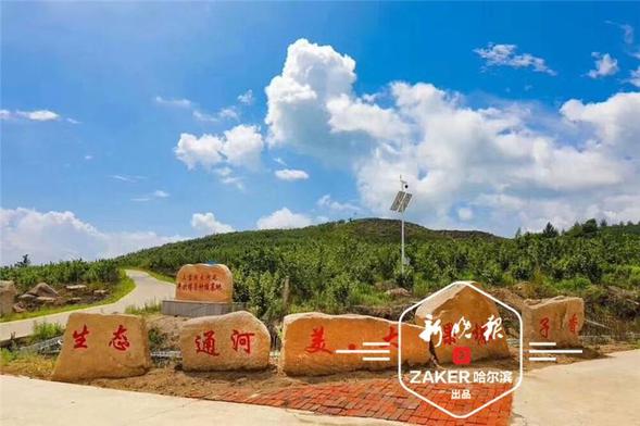 通河大榛子香得不是虚名,跻身国家农业标准化示范项目|哈市唯一