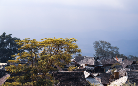 景迈柏联|享受世外茶林的理想生活 景迈柏联|享受世外茶林的理想生活