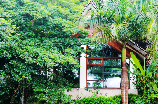 景迈柏联|享受世外茶林的理想生活 景迈柏联|享受世外茶林的理想生活