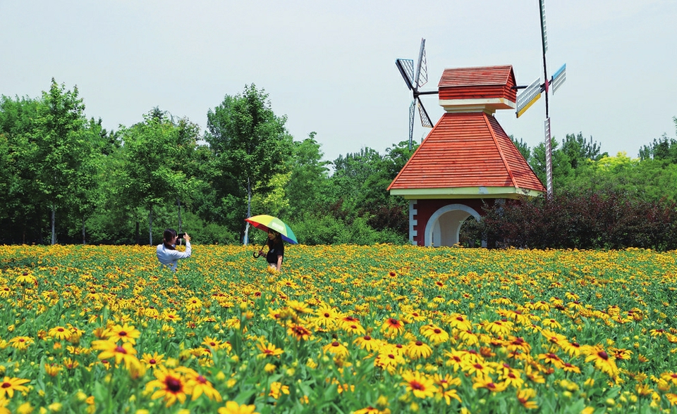 端午假期，来济南植物园纳凉赏景吧！
