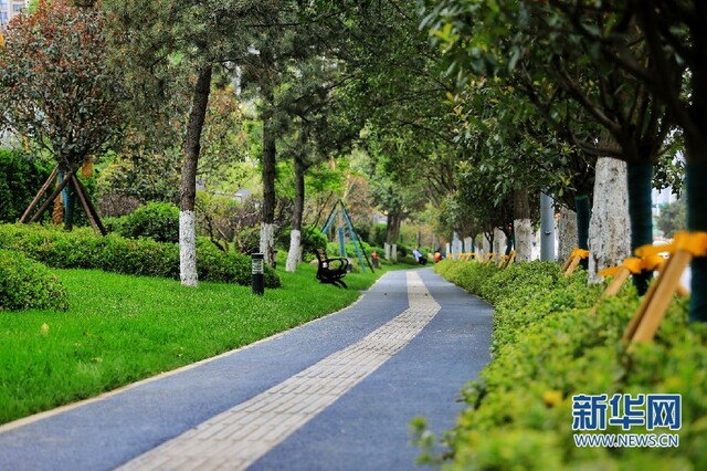 西安:有“颜值”更有“气质” 全运精彩倒计时 西安:有“颜值”更有“气质” 全运精彩倒计时