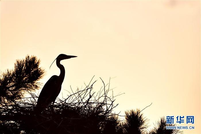 图片默认标题 图片默认标题_fororder_4