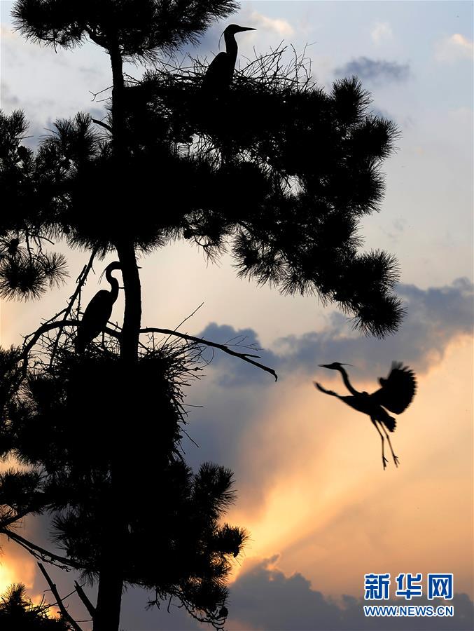 图片默认标题 图片默认标题_fororder_3