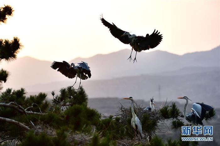 图片默认标题 图片默认标题_fororder_8