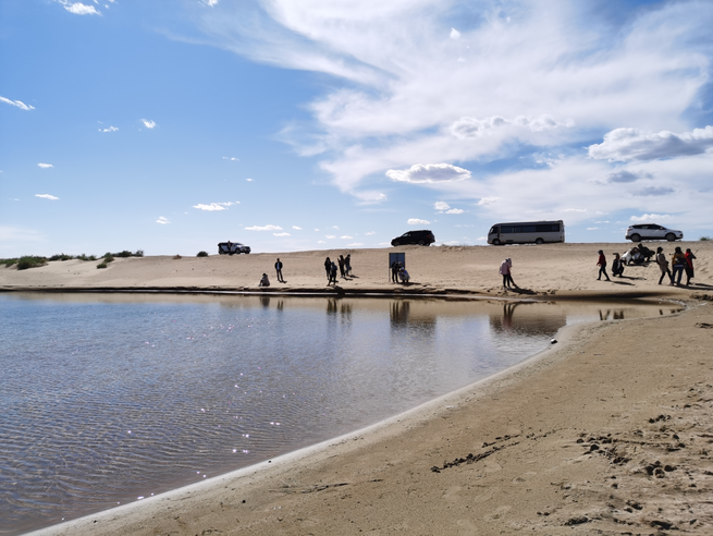 洪水対策と生態修復の両立で効果あげる＝クブチ砂漠_fororder_图片3