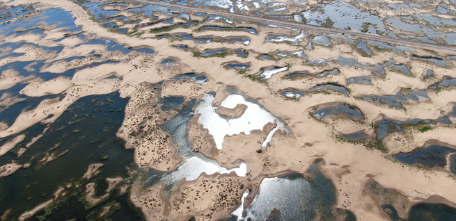 洪水対策と生態修復の両立で効果あげる＝クブチ砂漠_fororder_图片5