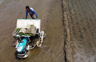 農家の田植えが最終段階に　吉林省通化県_fororder_F 4