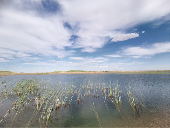 洪水対策と生態修復の両立で効果あげる＝クブチ砂漠_fororder_图片8