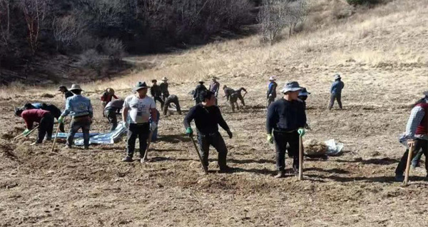 图片默认标题_fororder_村名开垦荒地