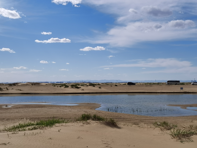 洪水対策と生態修復の両立で効果あげる＝クブチ砂漠_fororder_图片2