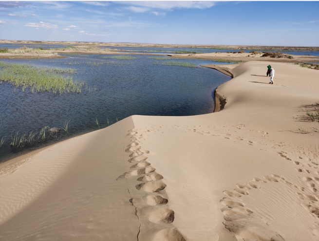 洪水対策と生態修復の両立で効果あげる＝クブチ砂漠_fororder_图片10