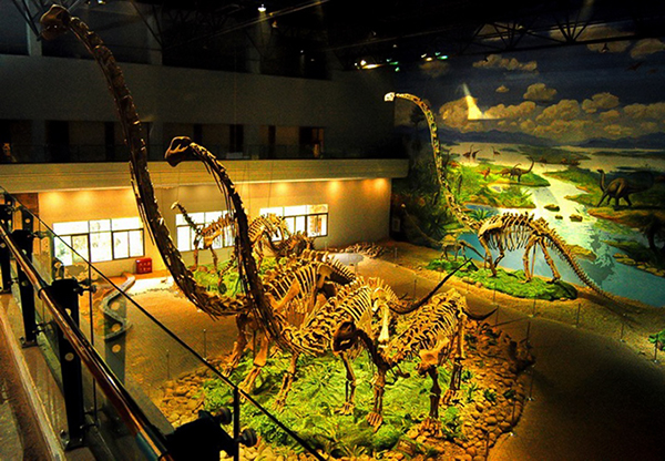 自贡大安:擦亮“盐龙灯食”金字招牌 链接成渝讲好“最自贡”故事_fororder_5自贡恐龙博物馆