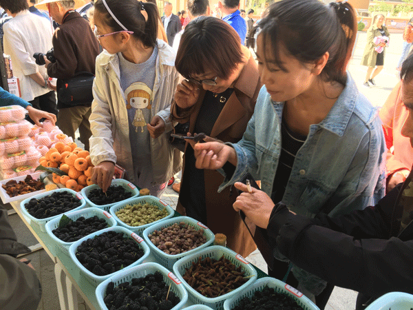 图片默认标题_fororder_1