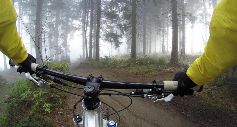 沈阳国家森林公园推出原始森林“洗肺”骑行游