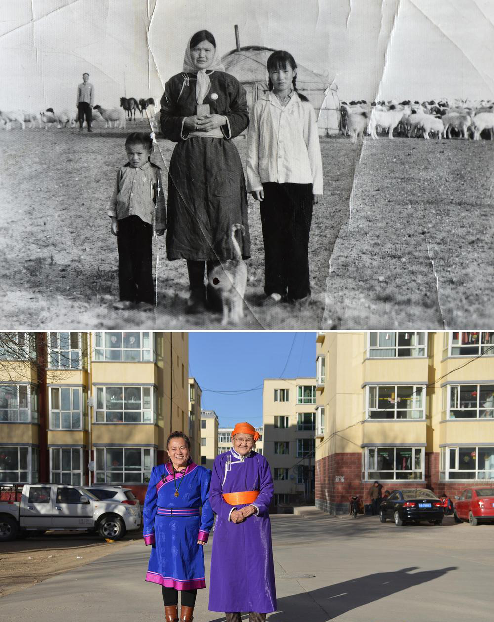 天天学习|总书记提到的这个红色故事,如今再续佳话