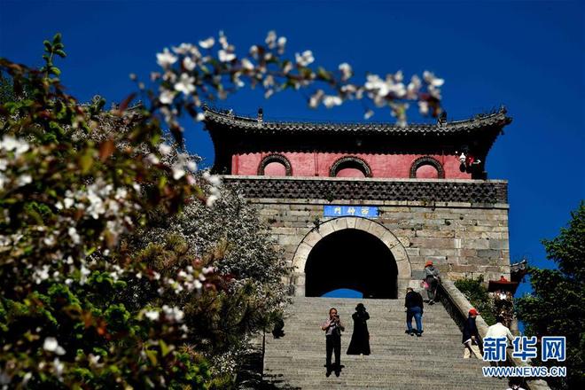 图片默认标题_fororder_1124526694_15584897454191n