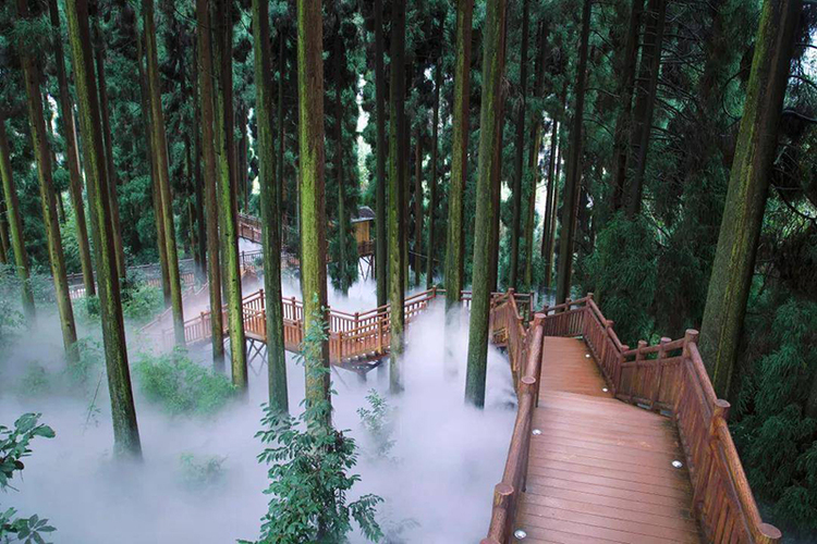 眉山洪雅县:走进森林康养 再战全域旅游示范_fororder_森林康养-供图洪雅县委宣传部-(2)
