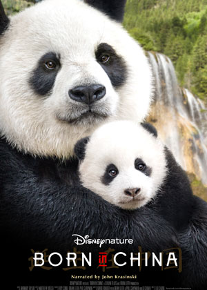 2017東京/沖縄・中国映画週間が間もなく日本で開催