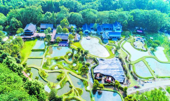 （转载）这一试 试出了一个“桃花源”