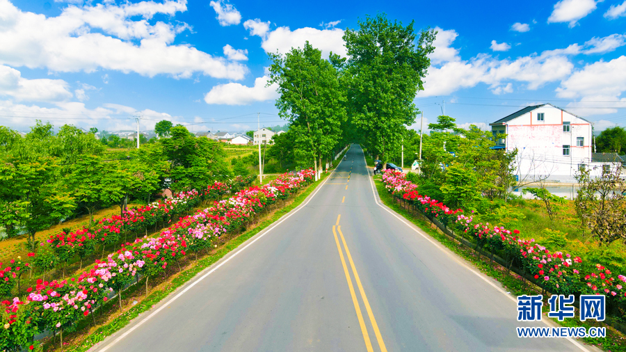 “四好农村路”串起乡村夏日美景