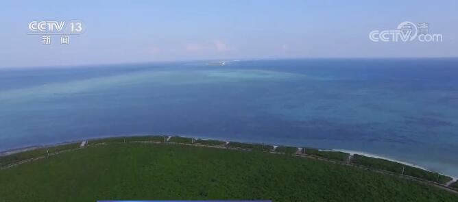 世界海洋日·关注海洋生物多样性 | 我国实施重大工程 改善海洋生态环境