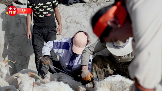 青海省視察の習主席、じゅうたんメーカーを最初に訪問_fororder_A１