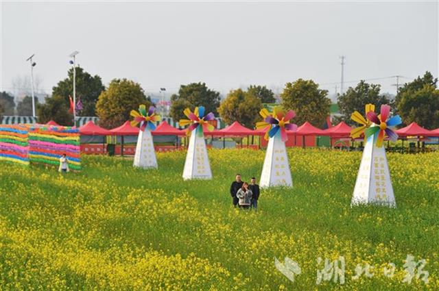 蔡甸万亩油菜花海等你来