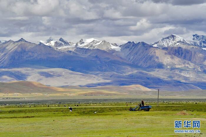 여름 더위를 날려보내는 푸른 목장 여름 더위를 날려보내는 푸른 목장_fororder_1