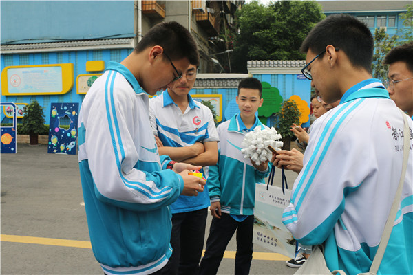 图片默认标题_fororder_29秒还原魔方（成都市泡桐树小学都江堰校区 供图）.JPG