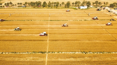 新农人在希望的田野上竞风流——“看麦收话重任”系列观察之七
