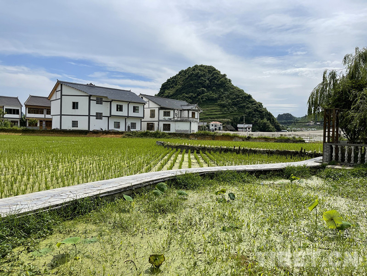 中国西藏网讯 花茂村,位于贵州省遵义市播州区枫香镇东北部,原名"荒