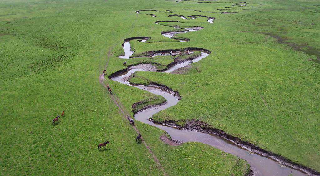 ทุ่งหญ้ามณฑลกันซู่ ที่ราบสูงชิงไห่-ทิเบต_fororder_0609草原1