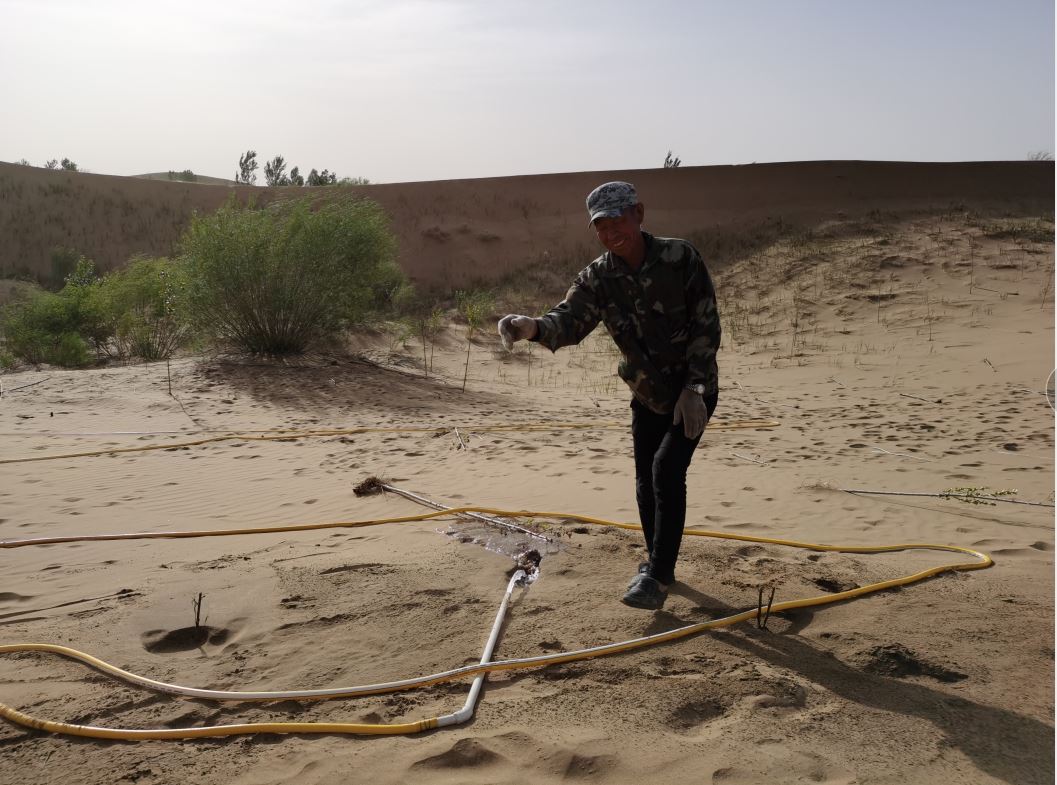 【マイクリポート】クブチ発の「低侵襲手術」が砂漠緑化に貢献_fororder_rBABC2CznqqAGbFrAAAAAAAAAAA204.1057x785