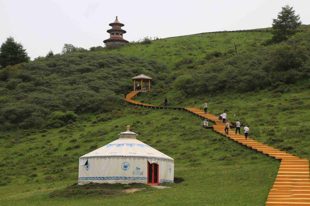 ทุ่งหญ้ามณฑลกันซู่ ที่ราบสูงชิงไห่-ทิเบต_fororder_0609草原6