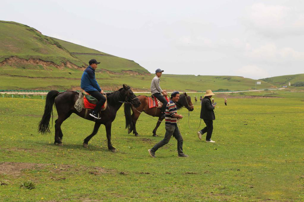 ทุ่งหญ้ามณฑลกันซู่ ที่ราบสูงชิงไห่-ทิเบต_fororder_0609草原5