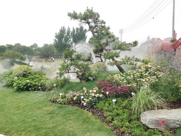 河南首届花境竞赛在郑州龙湖湿地公园开幕