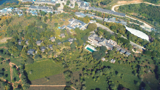 景迈柏联|享受世外茶林的理想生活 景迈柏联|享受世外茶林的理想生活