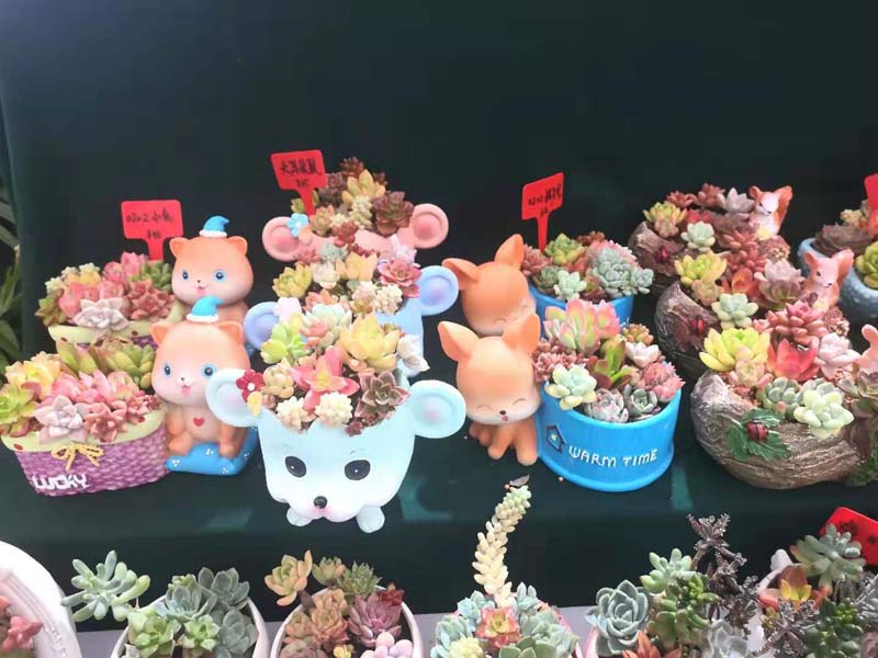 【原创 组图】2021鲁港进出口商品博览会开馆_fororder_7