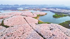 筑牢“法治护栏” 护航绿水青山_fororder_贵州2