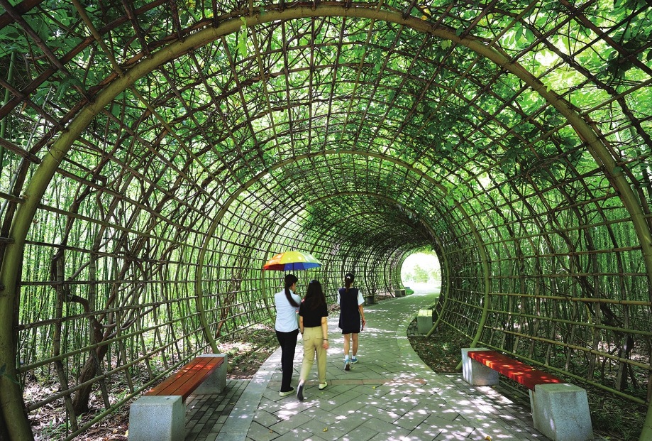 端午假期，来济南植物园纳凉赏景吧！