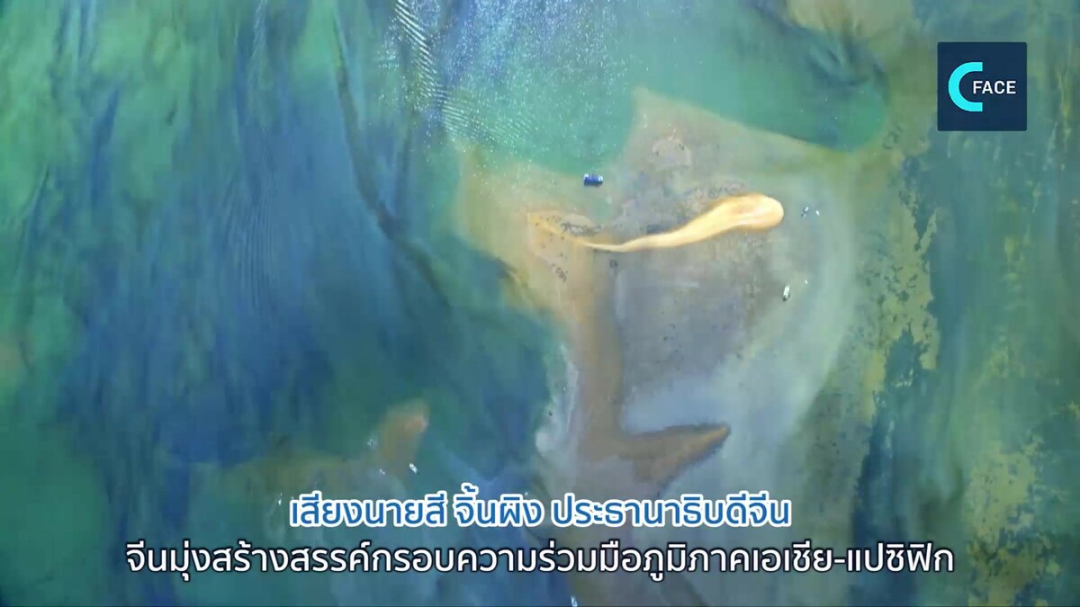 แนวคิดใหม่ในสำนวนเก่า : ทะเลกว้างมิอาจกั้น ขอเพียงชักใบแล่นรับตามลม_fororder_55浩渺行无极imp_Moment1