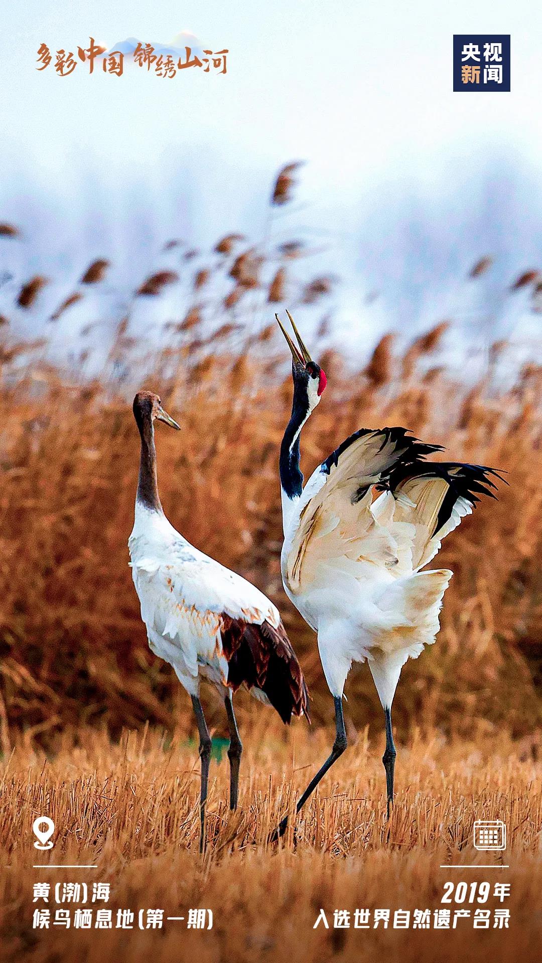 今日は文化と自然遺産の日 中国の美しい山河を紹介します_fororder_D14