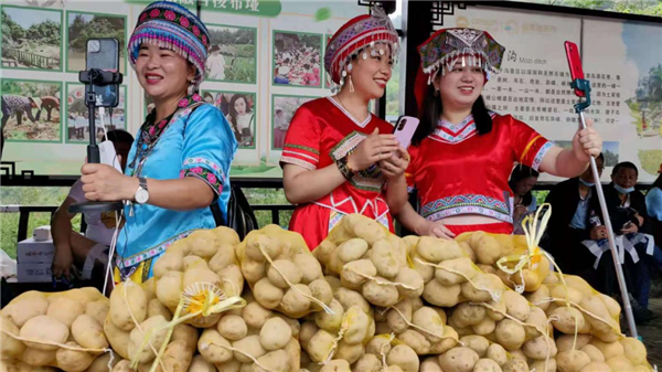 恩施梭布垭土豆文化旅游节启幕 直径8.8米的土豆饼惹人眼球_fororder_图片14