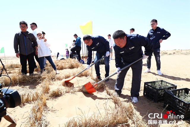 汽车频道【焦点轮播图】一汽奔腾——筑起屏障缚黄龙 敢向黄沙要绿林