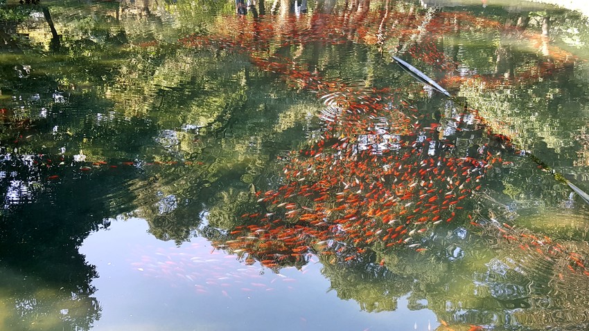 图片默认标题_fororder_C360_2016-11-05-13-21-18-345