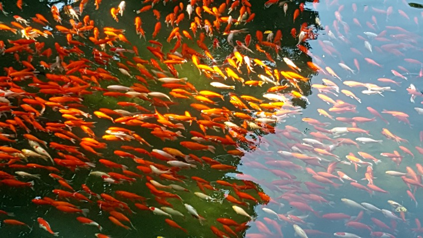 图片默认标题_fororder_C360_2016-11-05-13-23-24-912