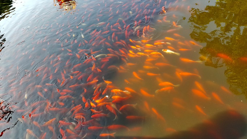 图片默认标题_fororder_C360_2016-11-05-09-27-20-195