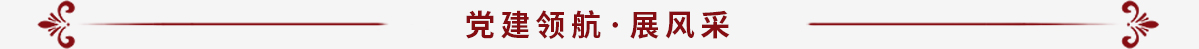 党建领航_fororder_（新）“开局谱新篇-奋进新道外”专题搭建_38